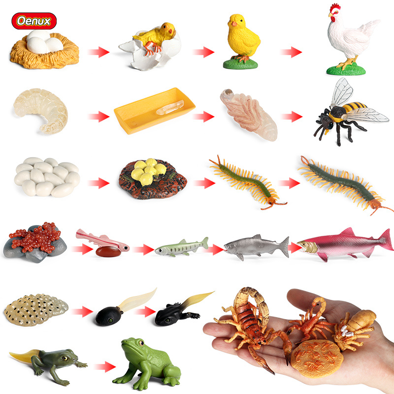 Baby Products Pictures - Oenux-figuras de acción de ciclo de