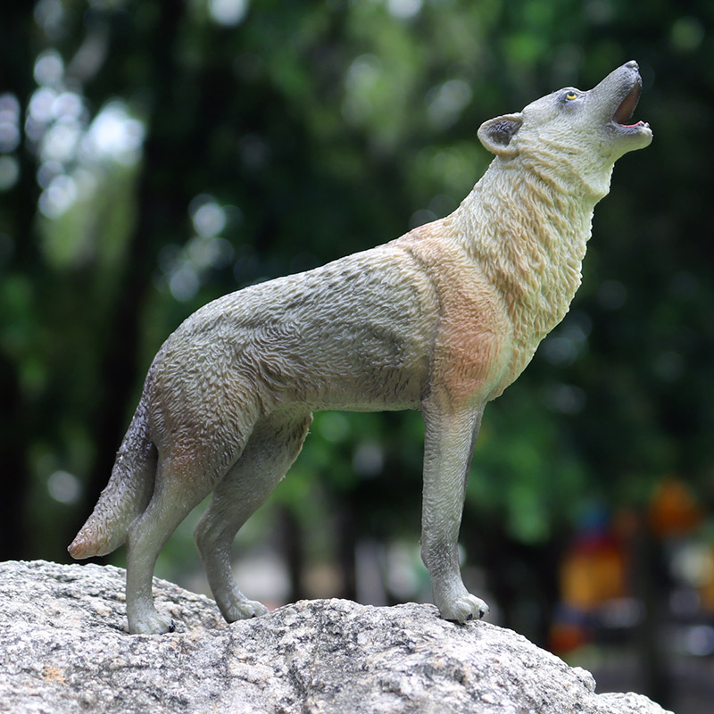 Oenux, animales de bestia salv - Baby Products Pictures reseña y precio